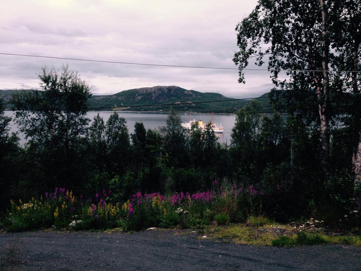 Jarfjord Arctic Aurora Lodge Karpbukt Екстер'єр фото
